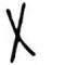 x