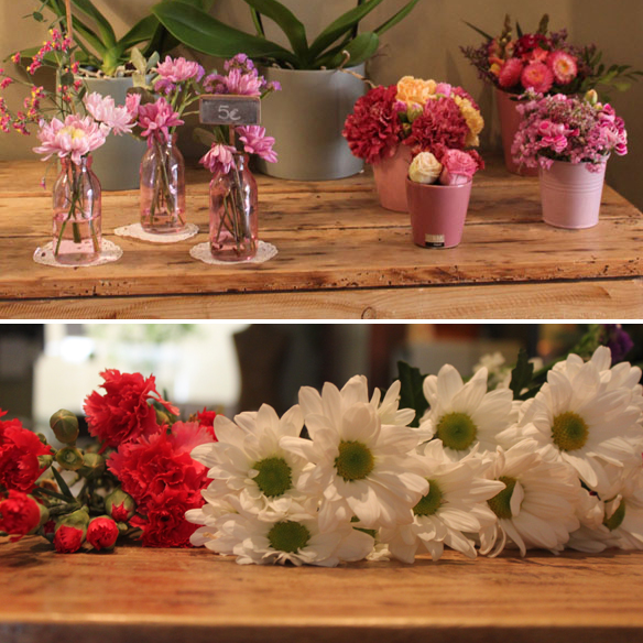 15colgadasdeunapercha_moshi2