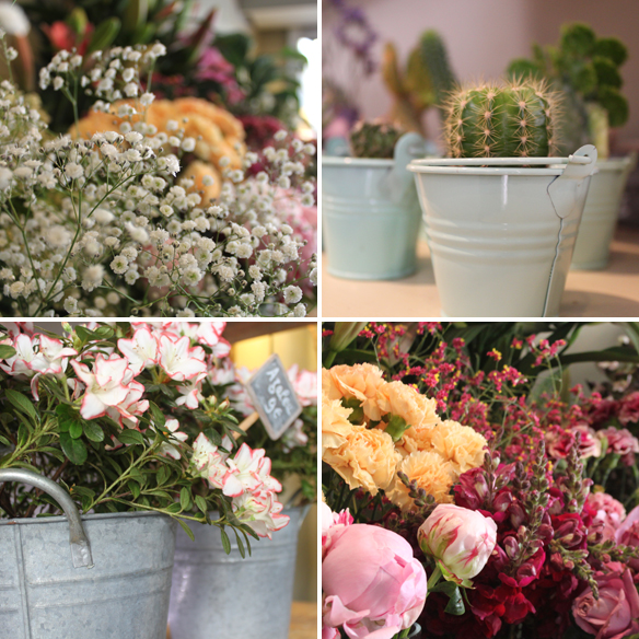 15colgadasdeunapercha_moshi3