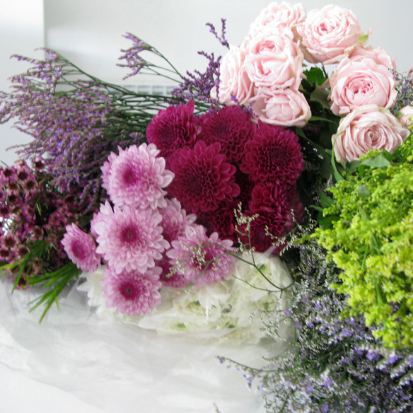 15colgadasdeunapercha_moshi5