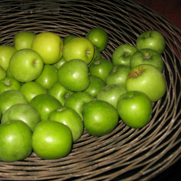 15colgadasdeunapercha_wfn_14