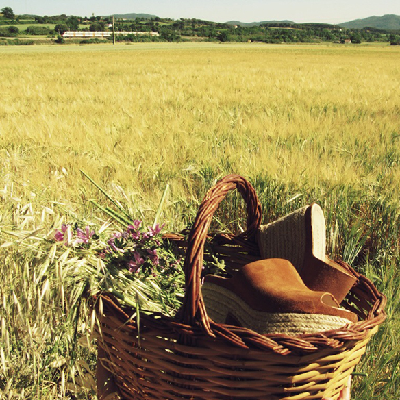 15colgadasdeunapercha-jane-birkin-70s-flare-pants-acampanados-crop-top-cesto-mimbre-corona-flores-carla-kissler-6