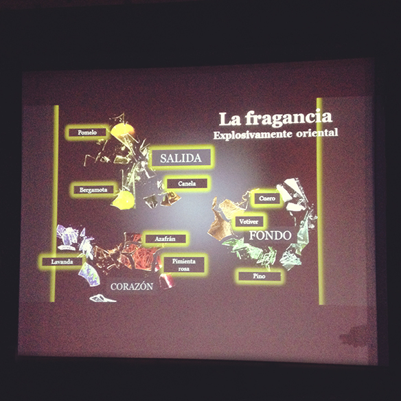 15-colgadas-de-una-percha-flowerbomb-viktor-&-rolf-perfume-fragancia-perfume-fragrance-10º-aniversario-10th-anniversary-12