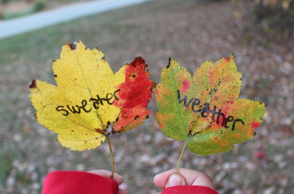 15-colgadas-de-una-percha-november-mood-board-noviembre-inspiracion-moda-fashion-inspiration-15