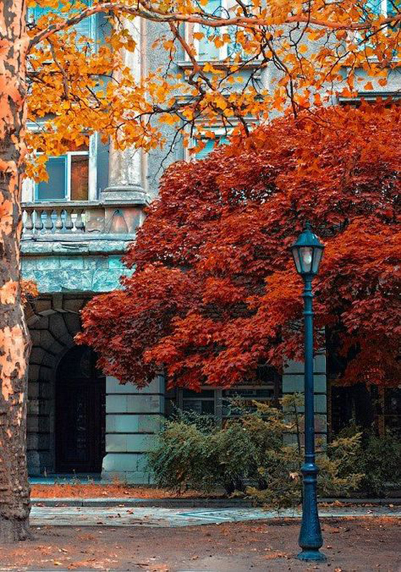 15-colgadas-de-una-percha-november-mood-board-noviembre-inspiracion-moda-fashion-inspiration-25