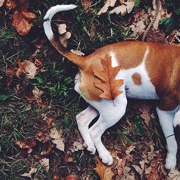 15-colgadas-de-una-percha-november-mood-board-noviembre-inspiracion-moda-fashion-inspiration-29