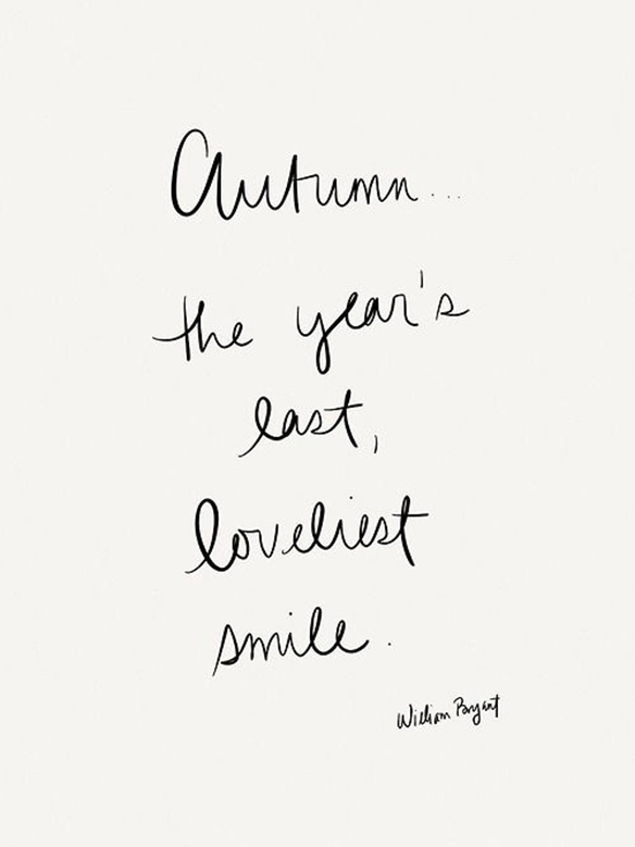 15-colgadas-de-una-percha-november-mood-board-noviembre-inspiracion-moda-fashion-inspiration-4