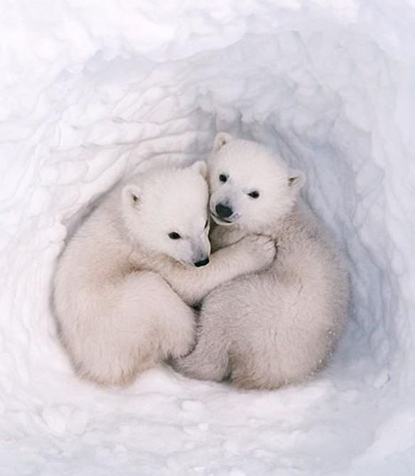 15-colgadas-de-una-percha-january-mood-board-enero-inspiracion-inspiration-inspo-2