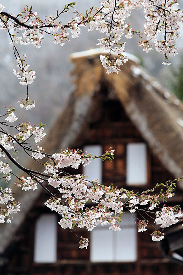 15-colgadas-de-una-percha-moda-fashion-february-mood-board-febrero-inspo-inspiration-inspiracion-15