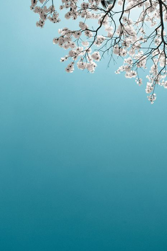 15-colgadas-de-una-percha-march-mood-board-marzo-inspiracion-inspiration-4