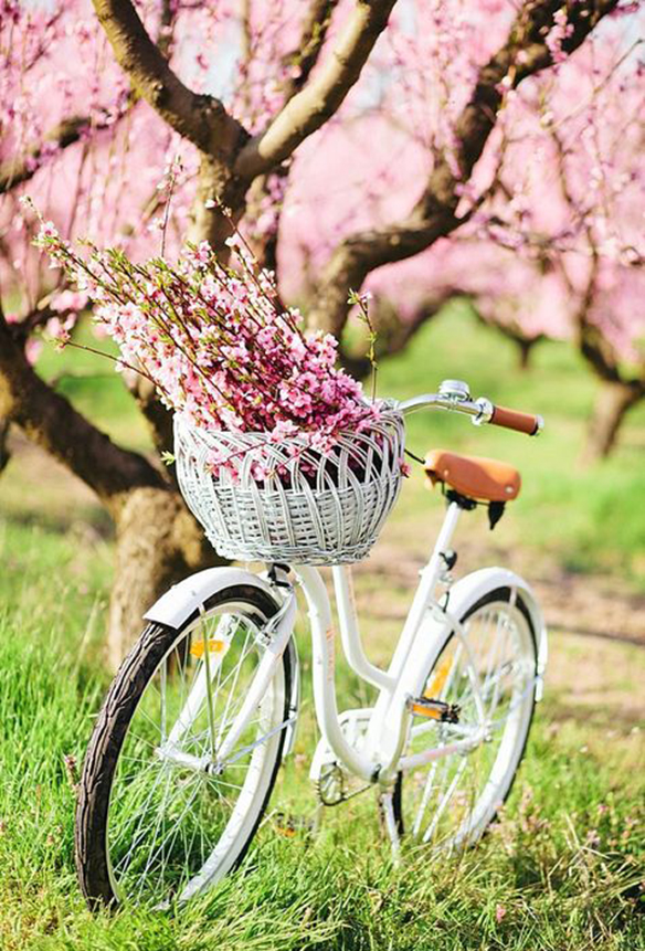 15-colgadas-de-una-percha-march-mood-board-marzo-inspiracion-inspiration-7