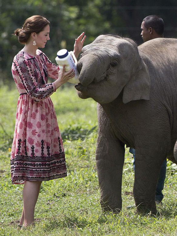 15-colgadas-de-una-percha-the-style-of-el-estilo-de-Kate-Middleton-India-Tour-11