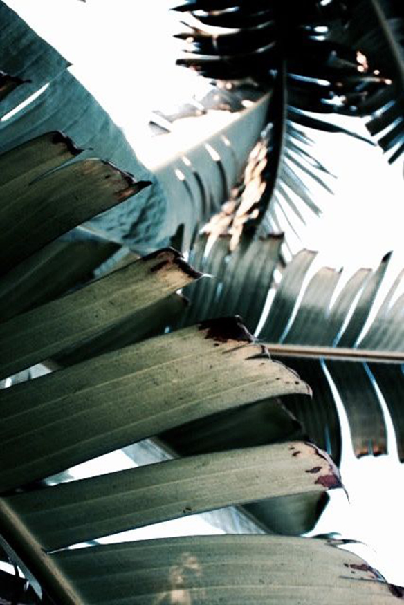 15-colgadas-de-una-percha-september-mood-board-septiembre-inspiracion-inspiration-29