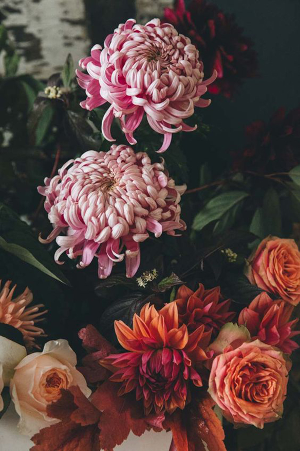 15-colgadas-de-una-percha-november-mood-board-inspo-inspiracion-22