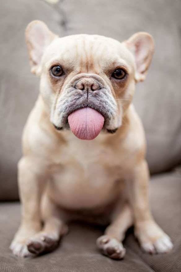 15-colgadas-de-una-percha-december-mood-board-diciembre-inspo-inspiracion-inspiration-15