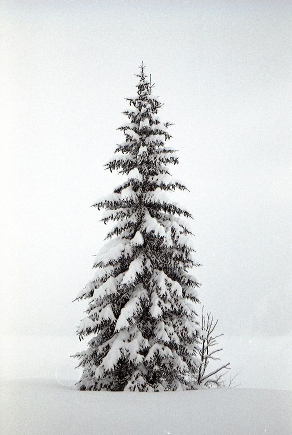 15-colgadas-de-una-percha-december-mood-board-diciembre-inspo-inspiracion-inspiration-3