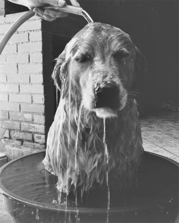 15-colgadas-de-una-percha-march-mood-board-inspiration-inspiracion-marzo-inspo-23