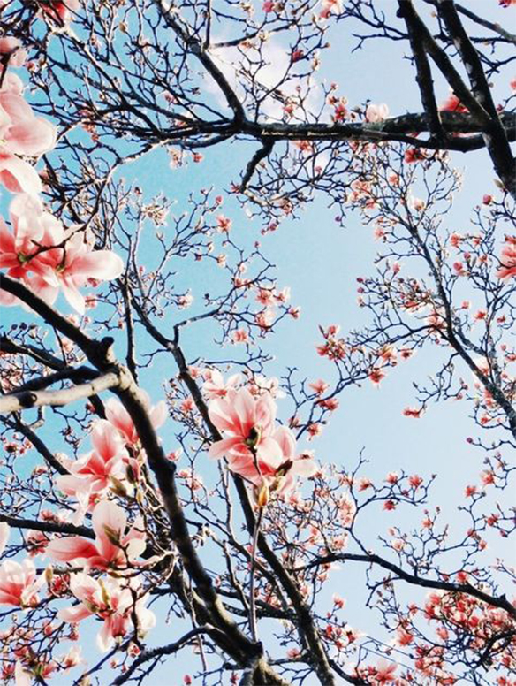 15-colgadas-de-una-percha-march-mood-board-inspiration-inspiracion-marzo-inspo-35