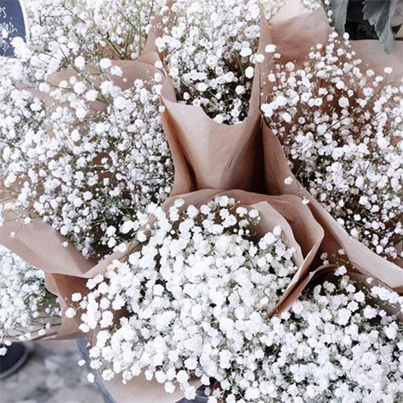 15-colgadas-de-una-percha-march-mood-board-inspiration-inspiracion-marzo-inspo-9